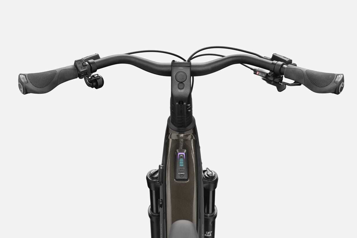 Tesoro Neo 2 Cannondale 2025 Obsidian #4