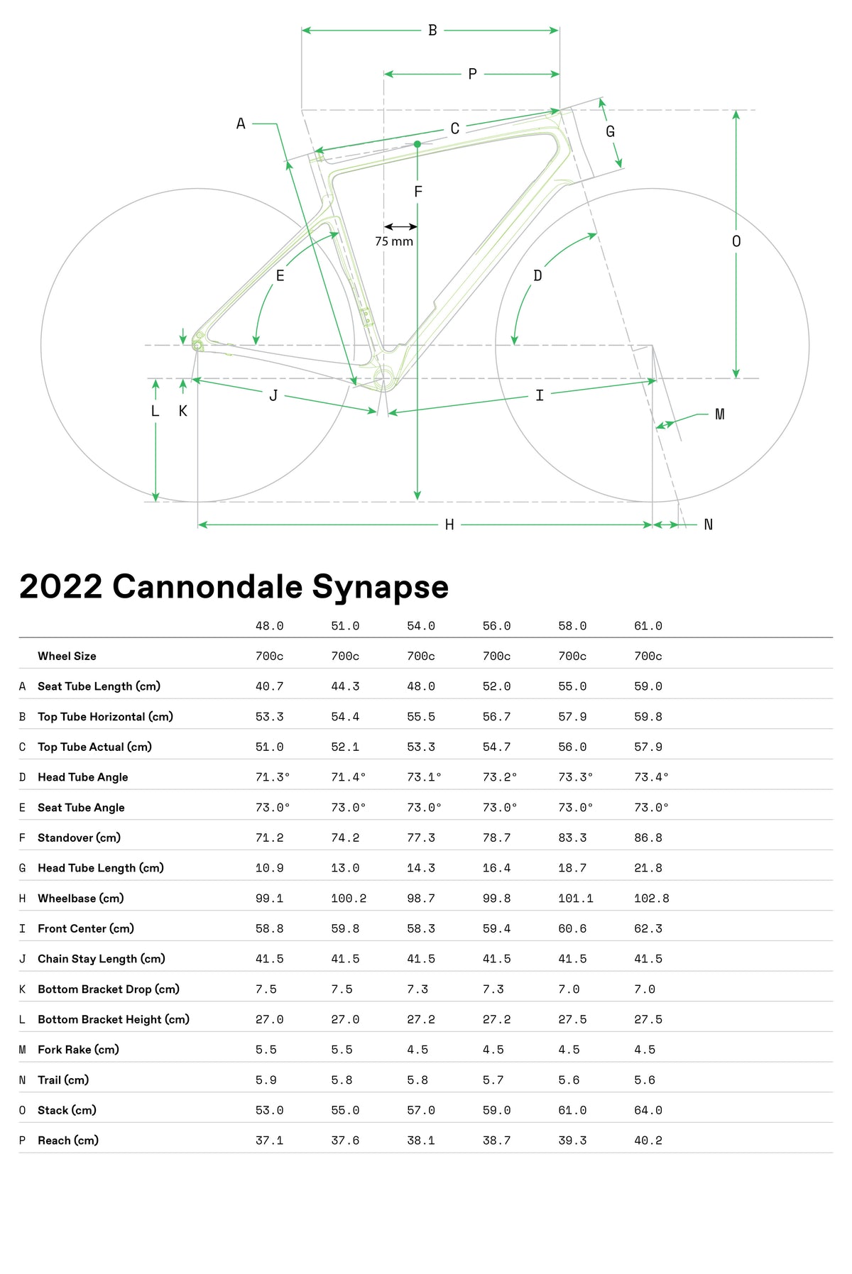 Synapse Carbon 2 RLE Cannondale 2024 Cool Mint #8