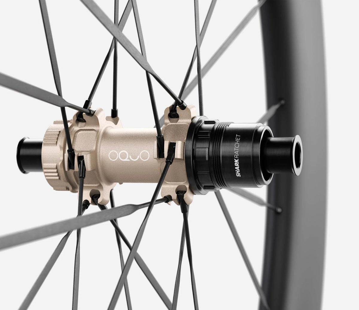O1980085