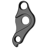 VAR Derailleur Hanger DH-69215 Focus Black